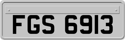FGS6913