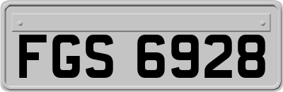 FGS6928