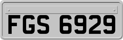 FGS6929