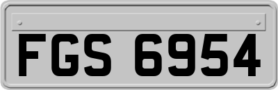 FGS6954