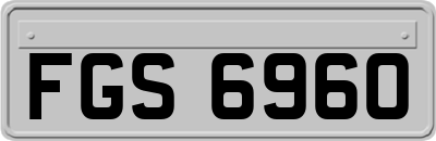 FGS6960