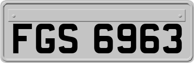 FGS6963