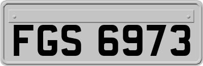 FGS6973