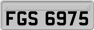 FGS6975