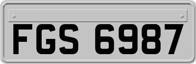 FGS6987