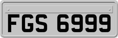 FGS6999