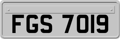 FGS7019