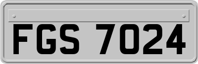 FGS7024