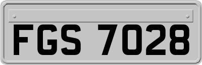 FGS7028