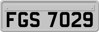 FGS7029