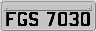 FGS7030