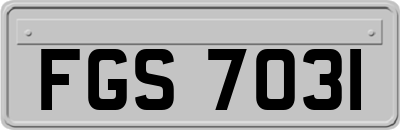 FGS7031