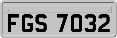 FGS7032