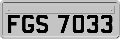 FGS7033