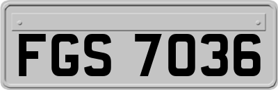 FGS7036