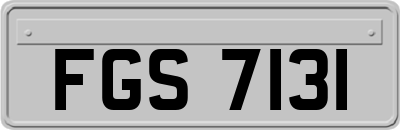 FGS7131
