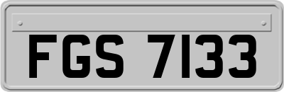 FGS7133