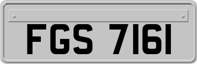 FGS7161