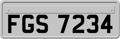 FGS7234