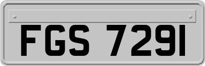 FGS7291