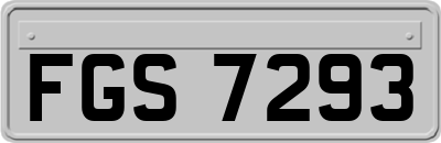 FGS7293