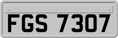 FGS7307