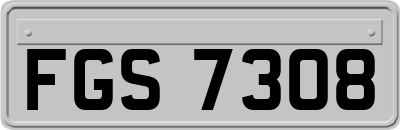 FGS7308