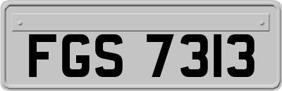 FGS7313