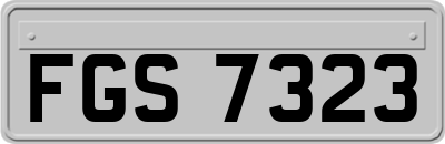 FGS7323