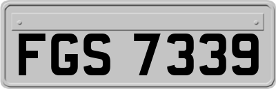 FGS7339