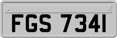 FGS7341