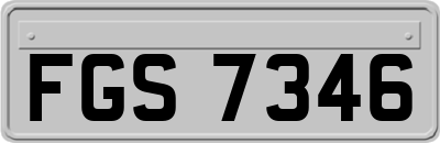 FGS7346