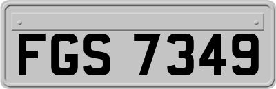 FGS7349