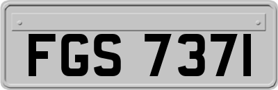FGS7371