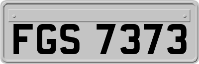 FGS7373