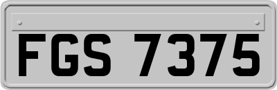 FGS7375