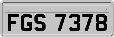 FGS7378