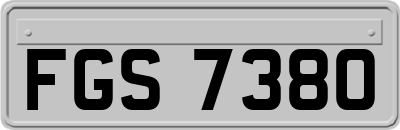 FGS7380