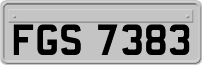 FGS7383