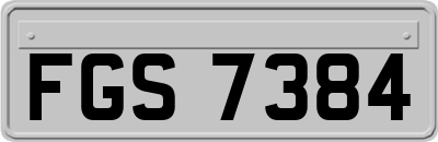 FGS7384