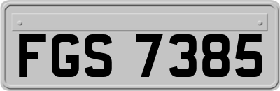 FGS7385