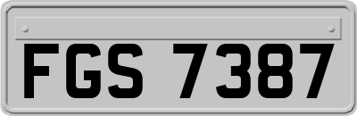 FGS7387
