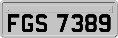 FGS7389