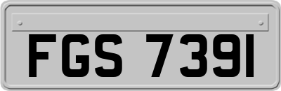 FGS7391