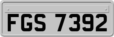 FGS7392