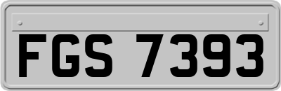 FGS7393