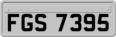 FGS7395