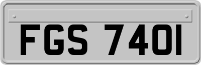 FGS7401