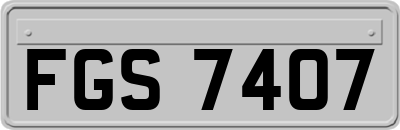 FGS7407