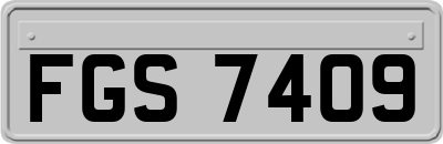 FGS7409
